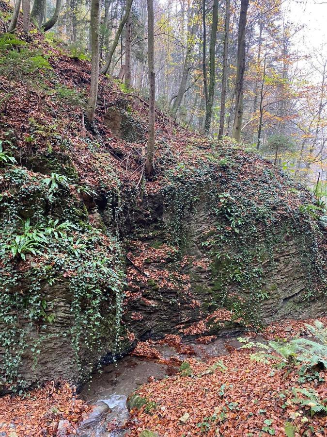 Gaestehaus Schmid Sankt Johann im Saggautal Εξωτερικό φωτογραφία