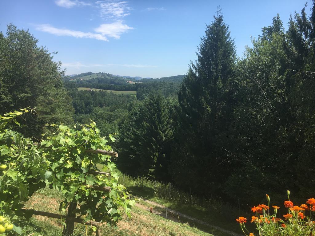 Gaestehaus Schmid Sankt Johann im Saggautal Εξωτερικό φωτογραφία