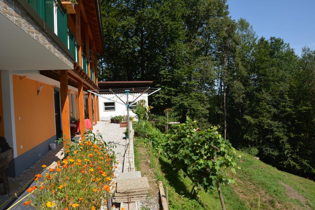 Gaestehaus Schmid Sankt Johann im Saggautal Εξωτερικό φωτογραφία
