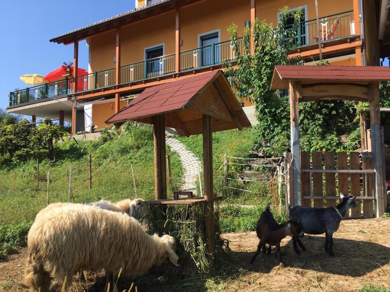 Gaestehaus Schmid Sankt Johann im Saggautal Εξωτερικό φωτογραφία
